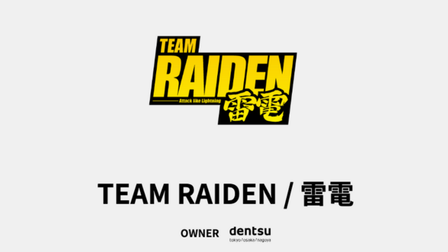 TEAM RAIDEN / 雷電